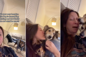Video: Hospice Foster Dog Is 'Bossy' When Demanding Pets
