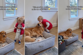 Video: Golden Retriever & Baby Boy's 'Goodbye Routine' Melts Owner