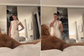 Video: Golden Retriever Helps Owner Choose Their Dress by Doing This
