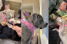 Video: Bully Enjoys Her Birthday Party With 'Grandpawrents'