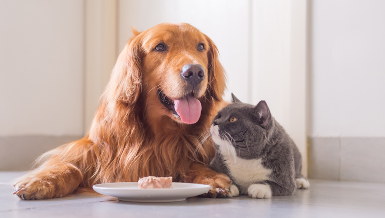 National No One Eats Alone Day