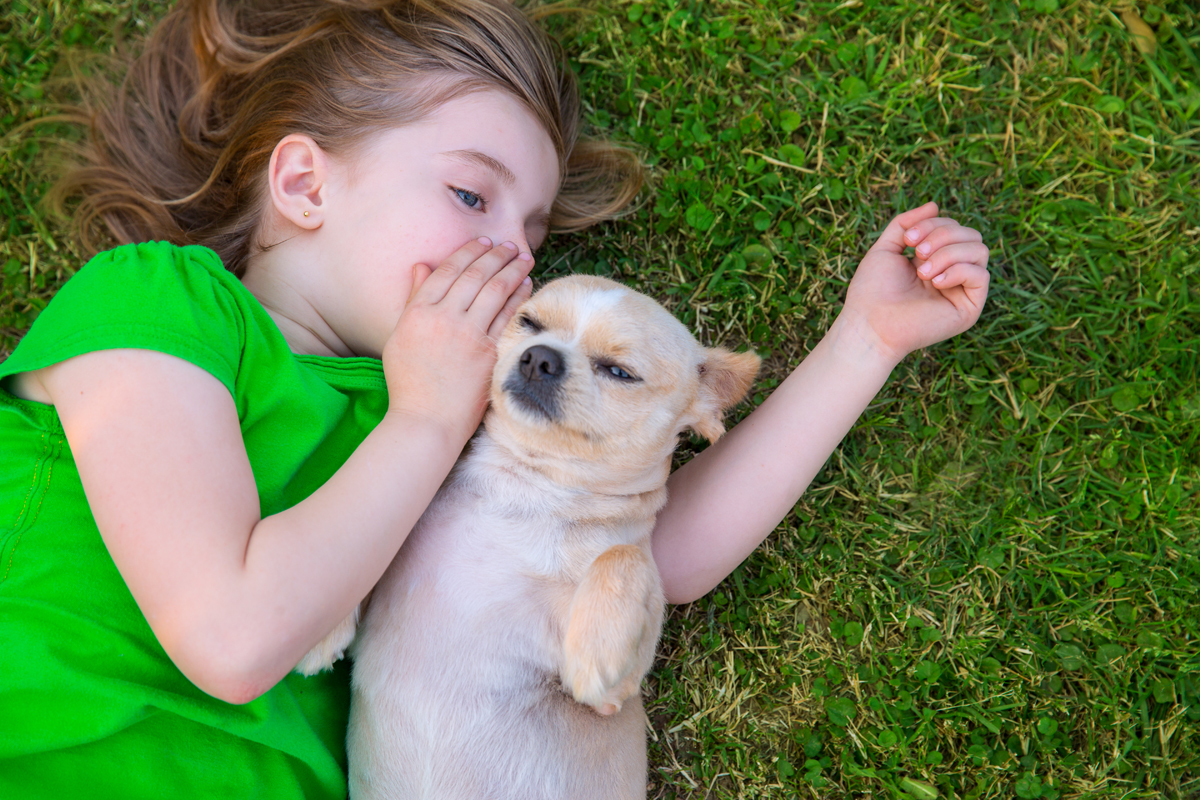 Kids & Dogs