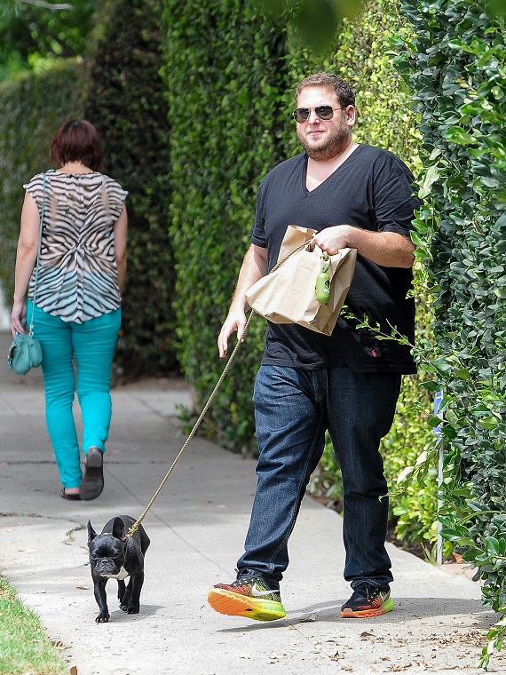 Jonah Hill With His 'Daughter' French Bulldog Carmella