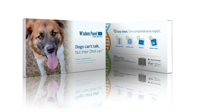 Dog Breed Identification DNA Test