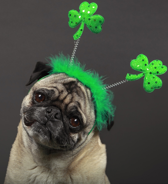 Happy St. Patrick's Day