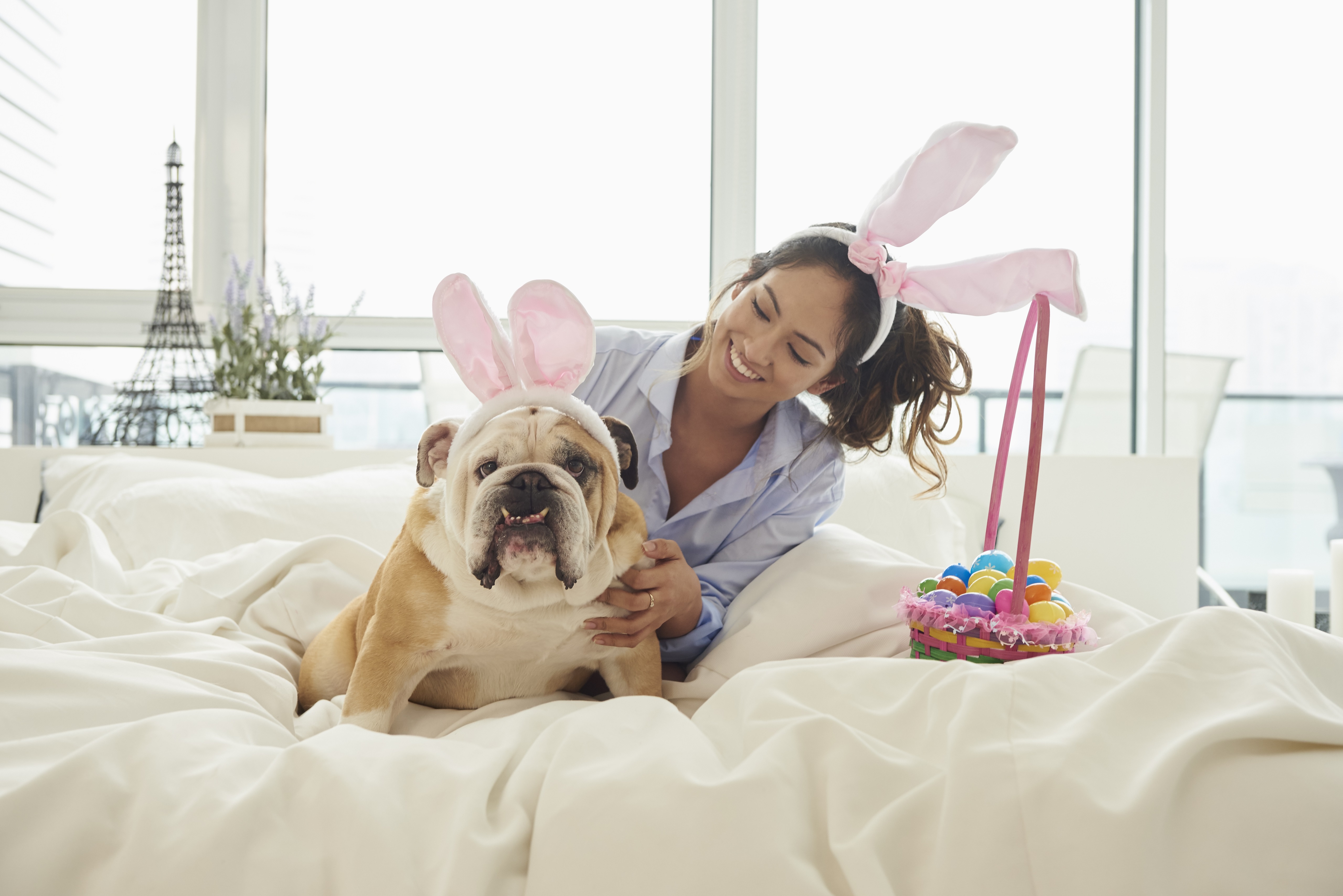 Easter Dog And Puppy Pictures