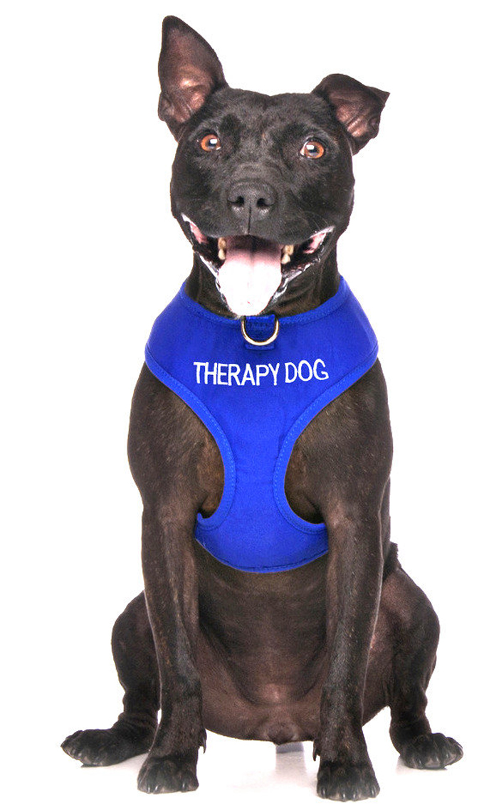 Therapy Dog Harness