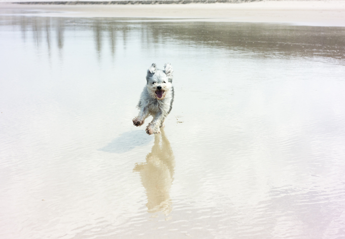 I'd be happy too at the beach! 