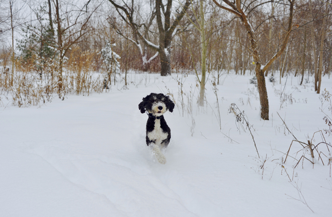 Fun in the snow!