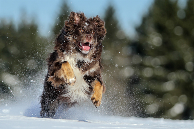 Fun in the snow!