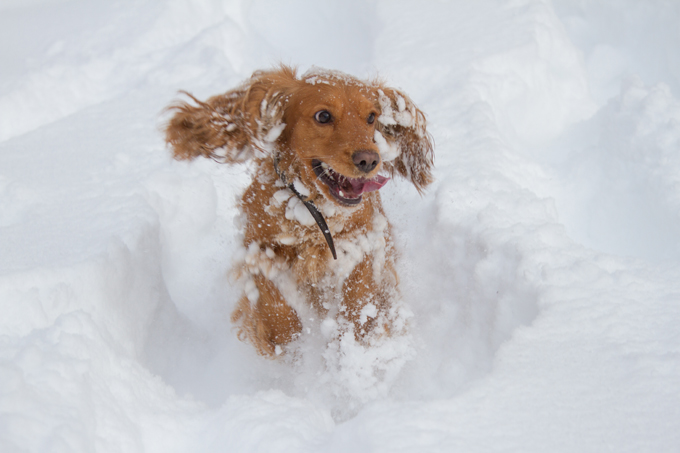 Fun in the snow!