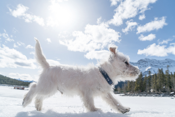 Fun in the snow!