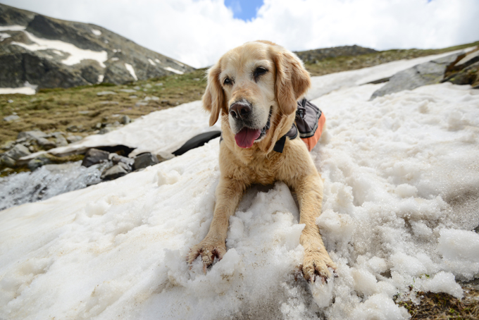 Fun in the snow!