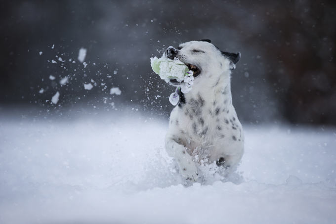 Fun in the snow!