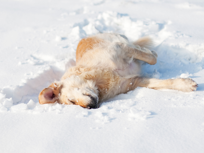 Fun in the snow!