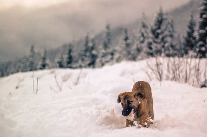 Fun in the snow!