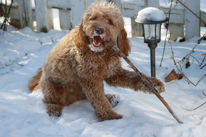 Fun in the snow!