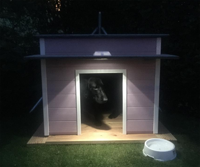 Most Amazing Dog Houses