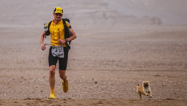 Runner Wants To Adopt Stray Dog Who Ran Through The Gobi Desert With Him