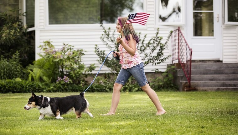 Keeping Your Dog Inside All Day