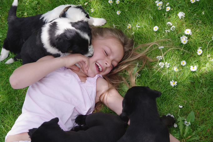 20 Pictures Of Puppies Playing