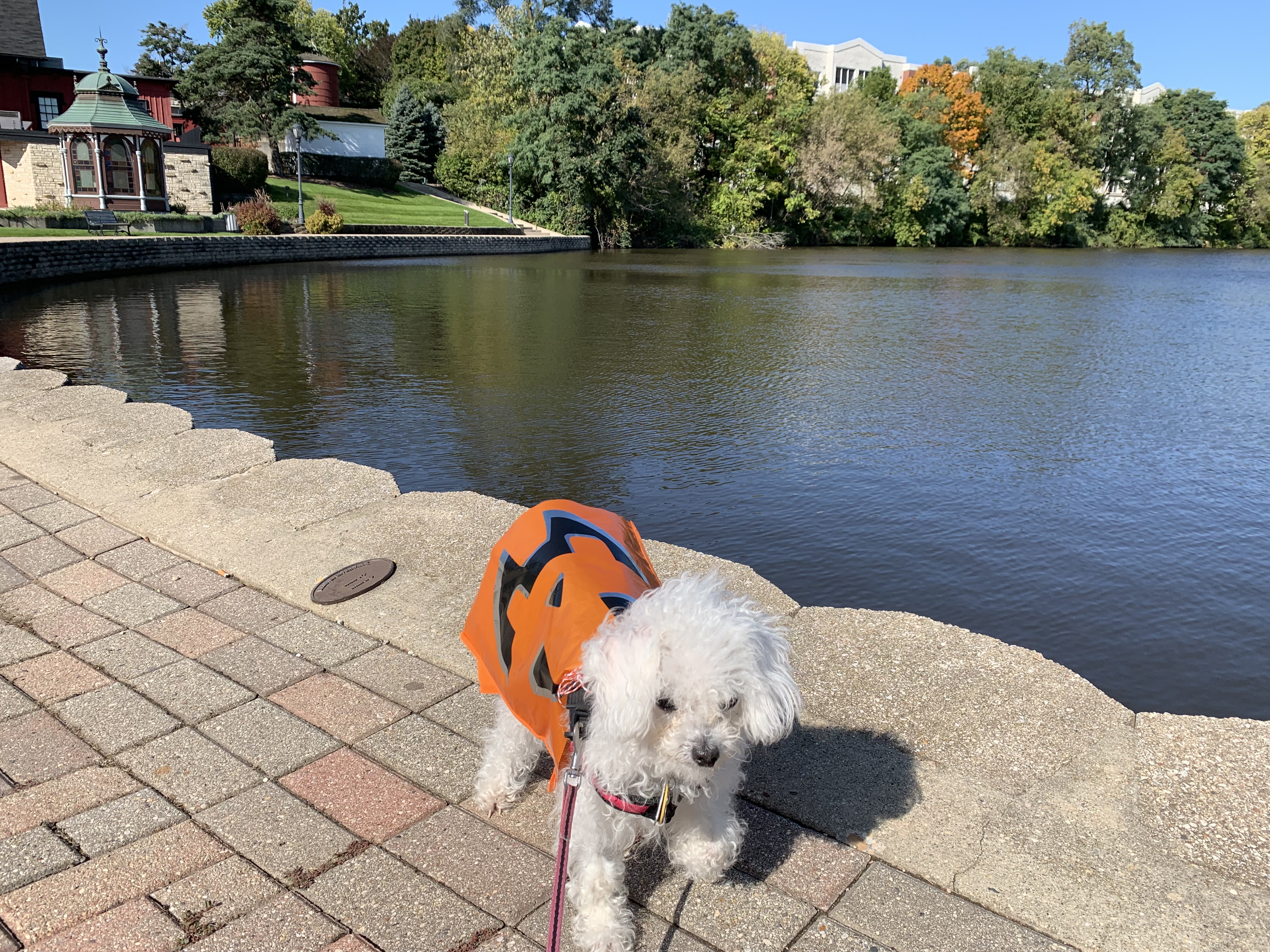 The event took place on a gorgeous (gourd-geous?) October day, very sunny and only a bit chilly. It made for a great turn-out at the beautiful Batavia Riverwalk, starting at the Peg Bond Center.