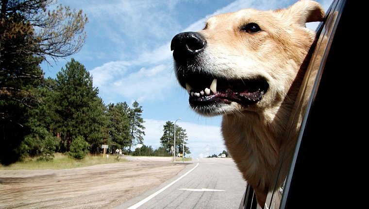 A Car Ride