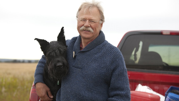 Standard Schnauzer