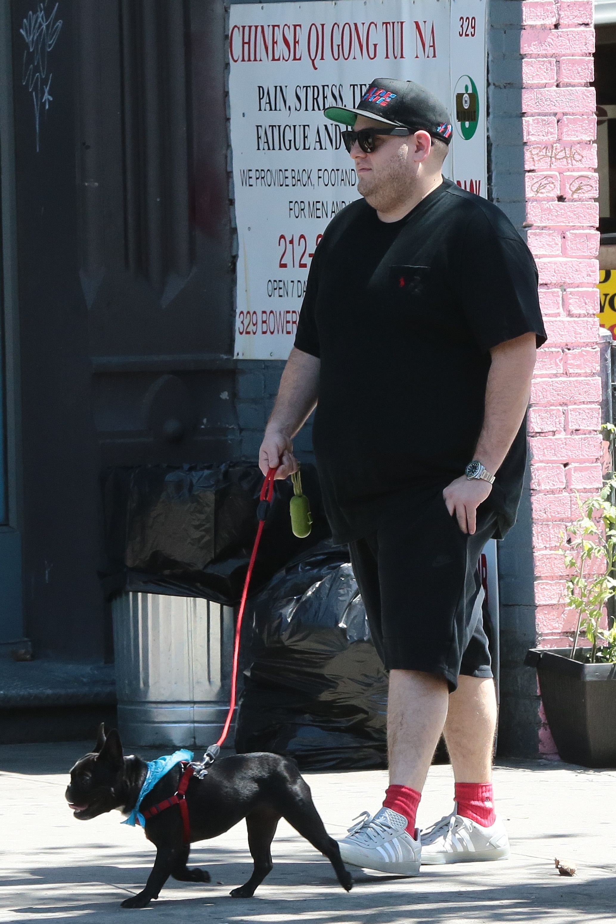 Jonah Hill Walks His French Bulldog