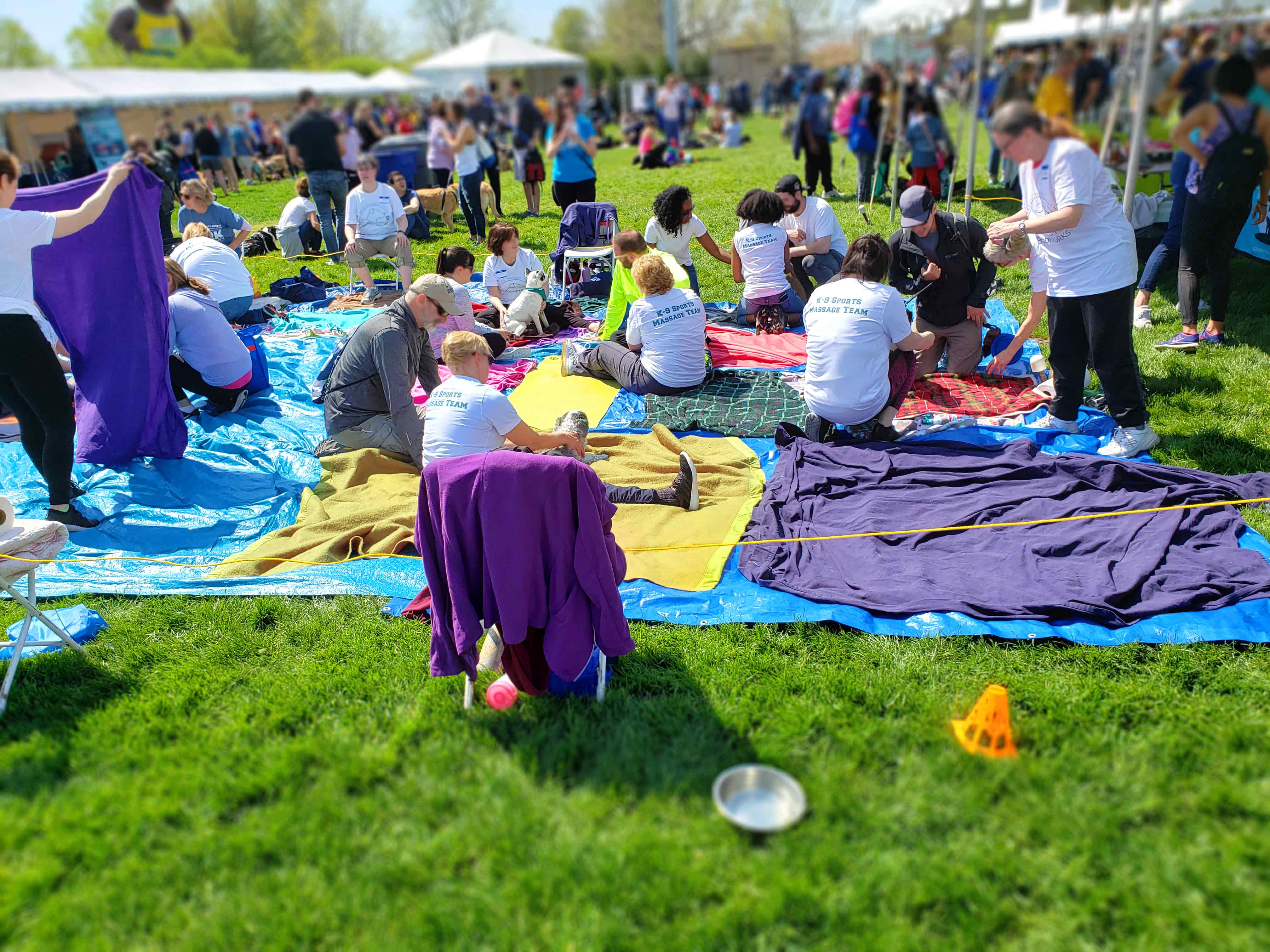 Chicago's Bark In The Park 2019