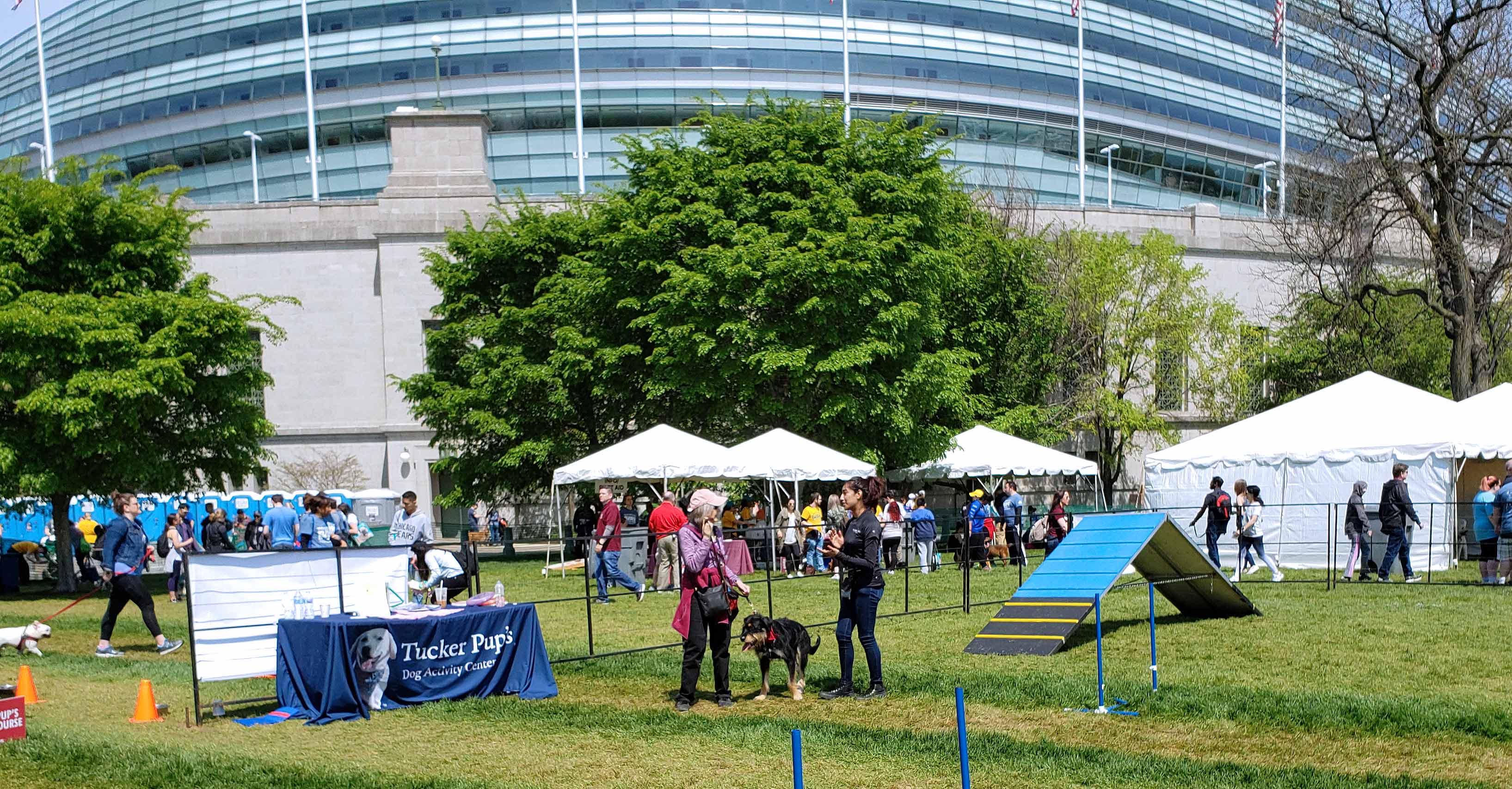 Chicago's Bark In The Park 2019