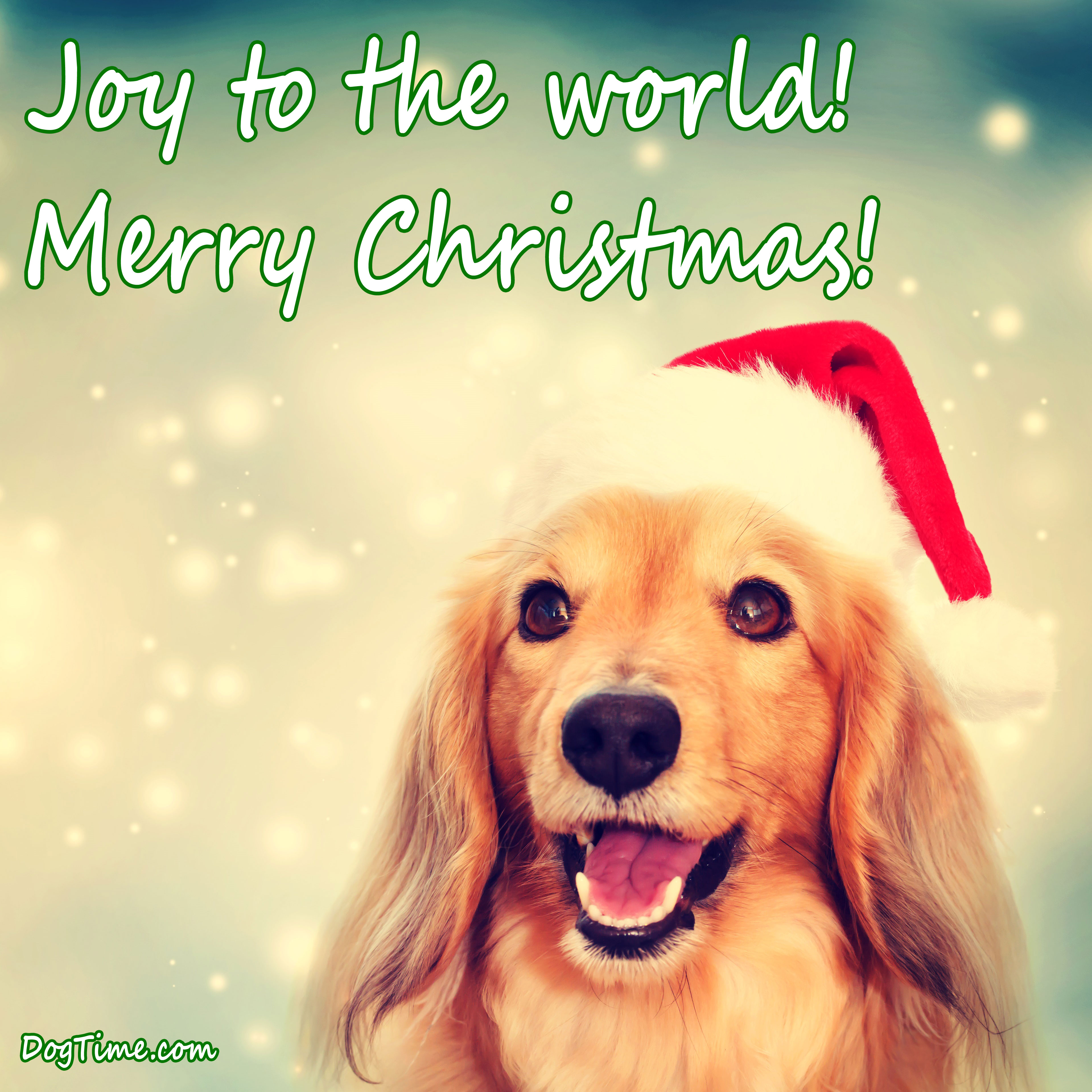 Joy To The World