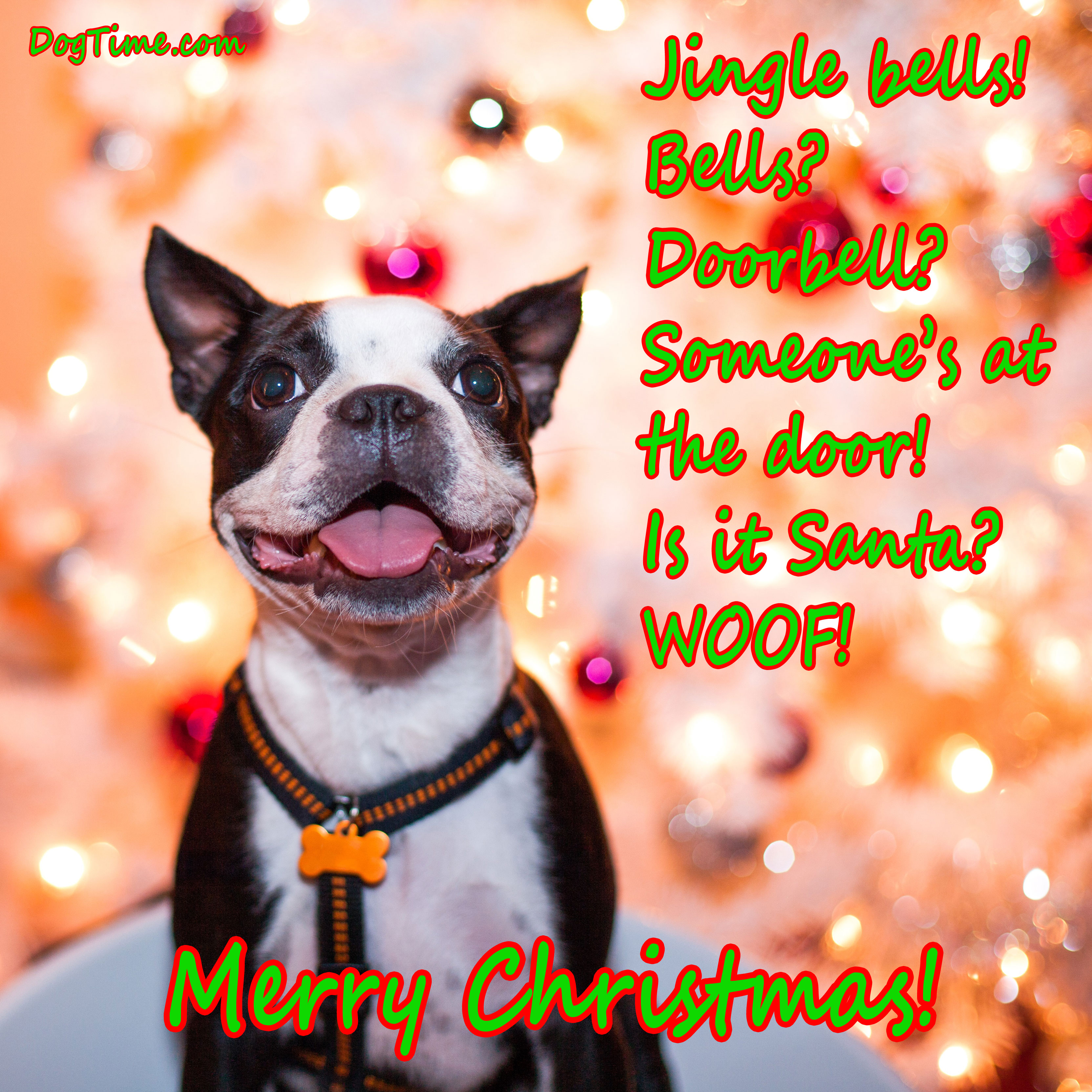 Jingle Bells