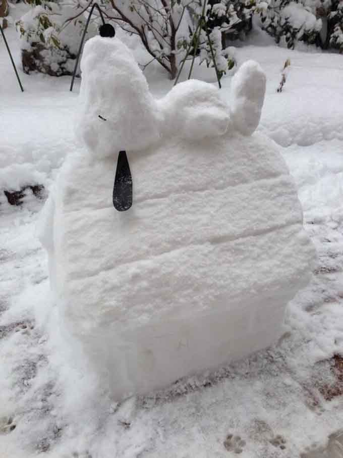 Snoopy The Snowdog