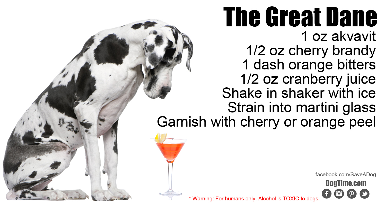 Great Dane Cocktail Recipe