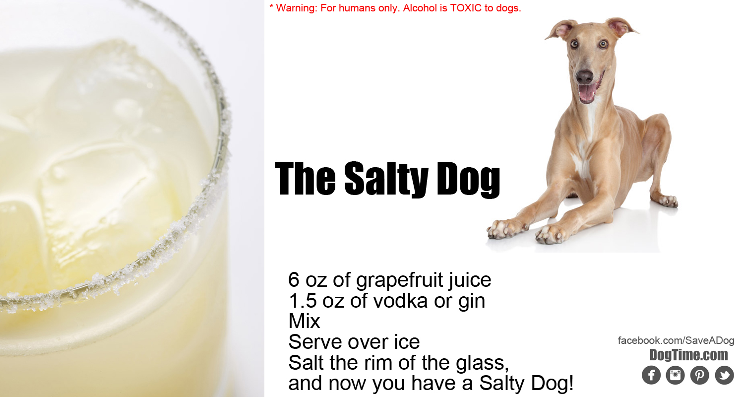 Salty Dog Cocktail Recipe