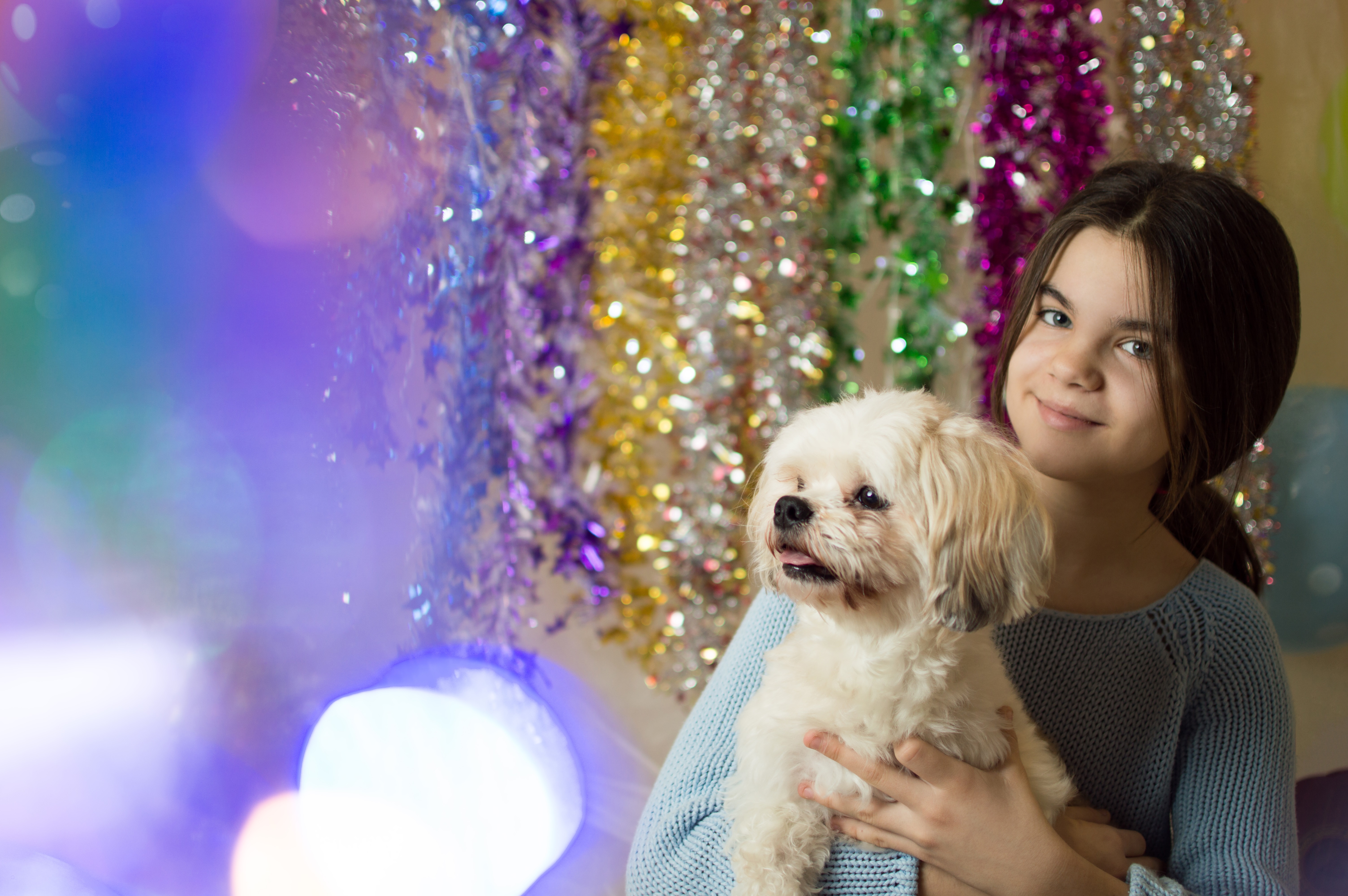 Dogs Celebrating New Year's Eve