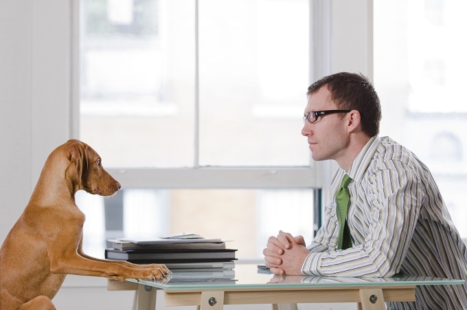 Human, treats are down 13% from last quarter.