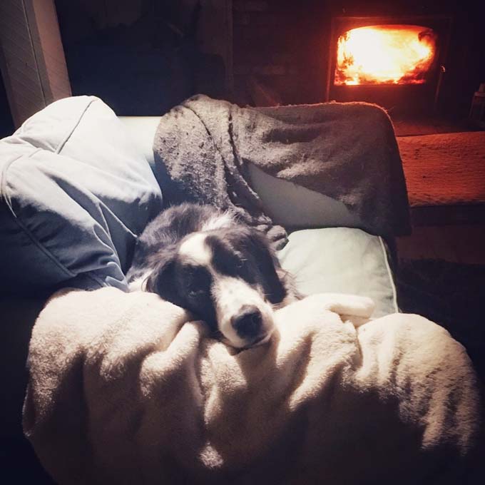 Dogs Staying Warm By The Fireplace