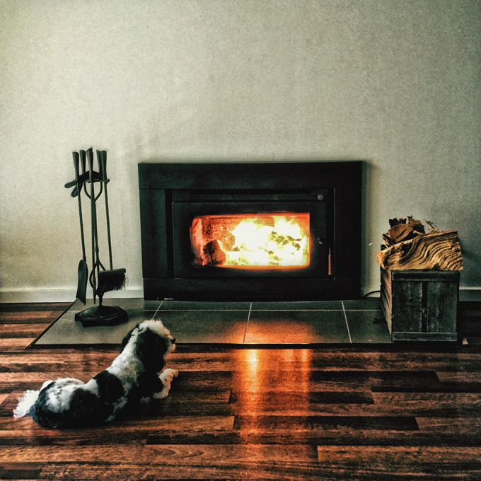 Dogs Staying Warm By The Fireplace