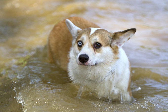 Swim with me!