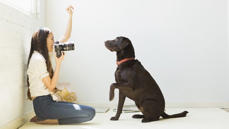 Dog Photographer