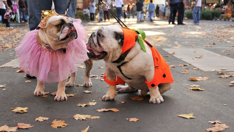 Trick Or Treating