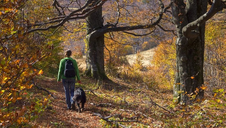 Take A Nature Hike