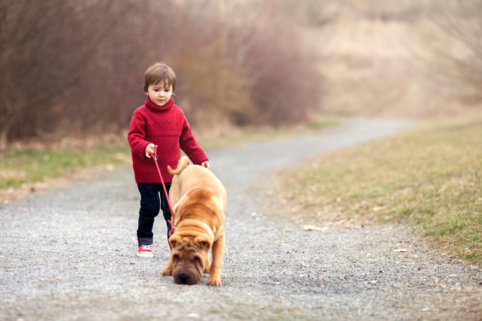 National Kids And Pets Day