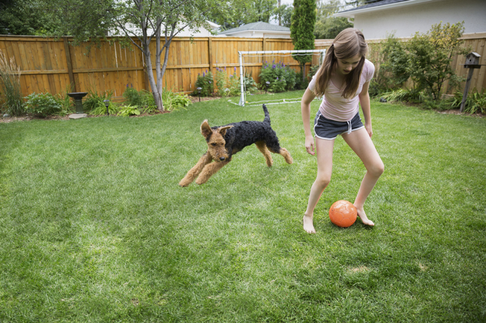 National Kids And Pets Day