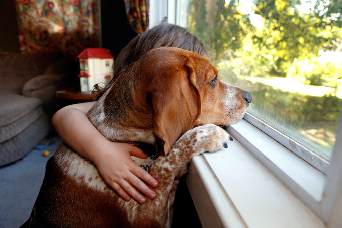 National Kids And Pets Day