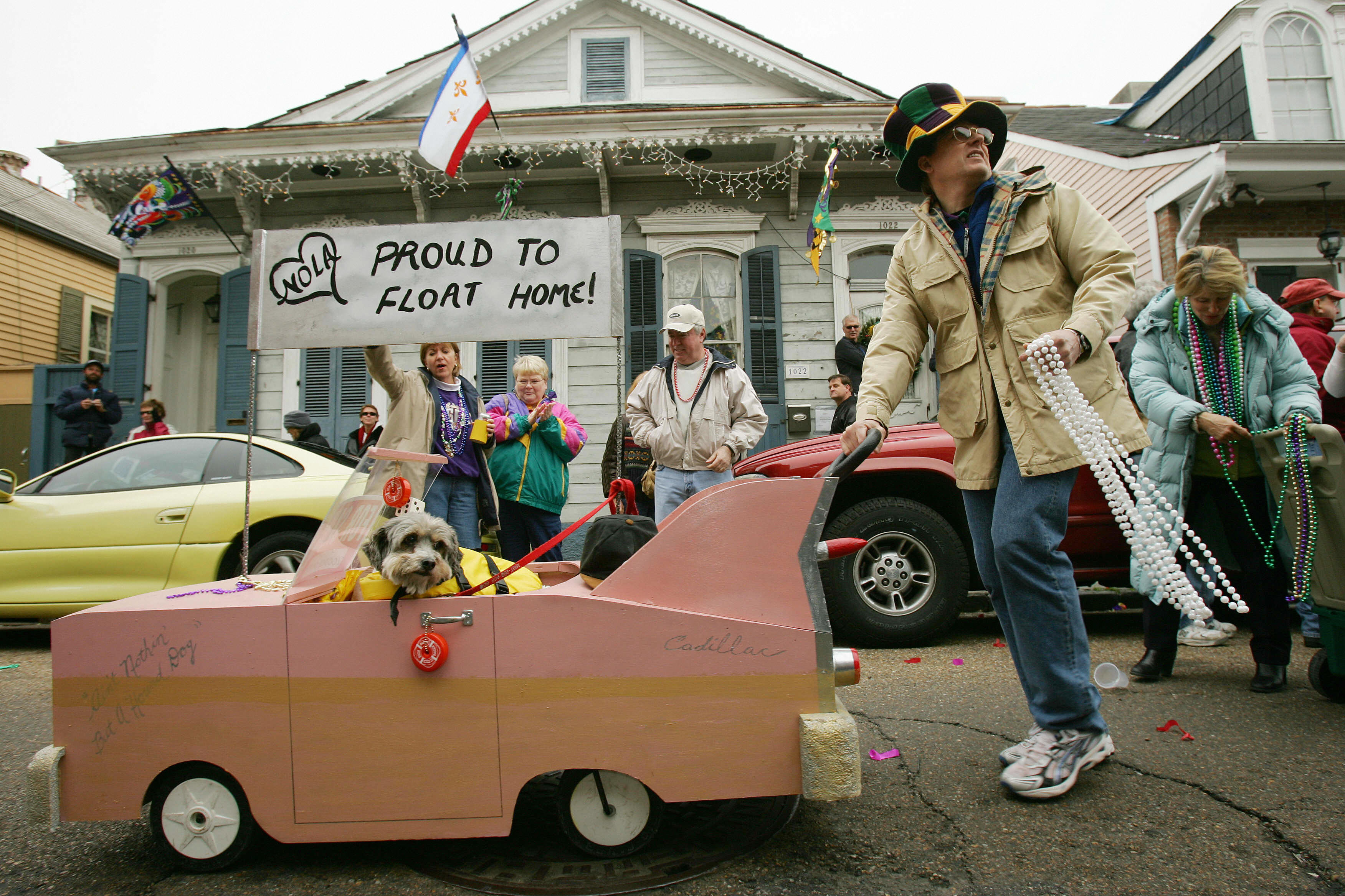 Mardi Gras Dogs!