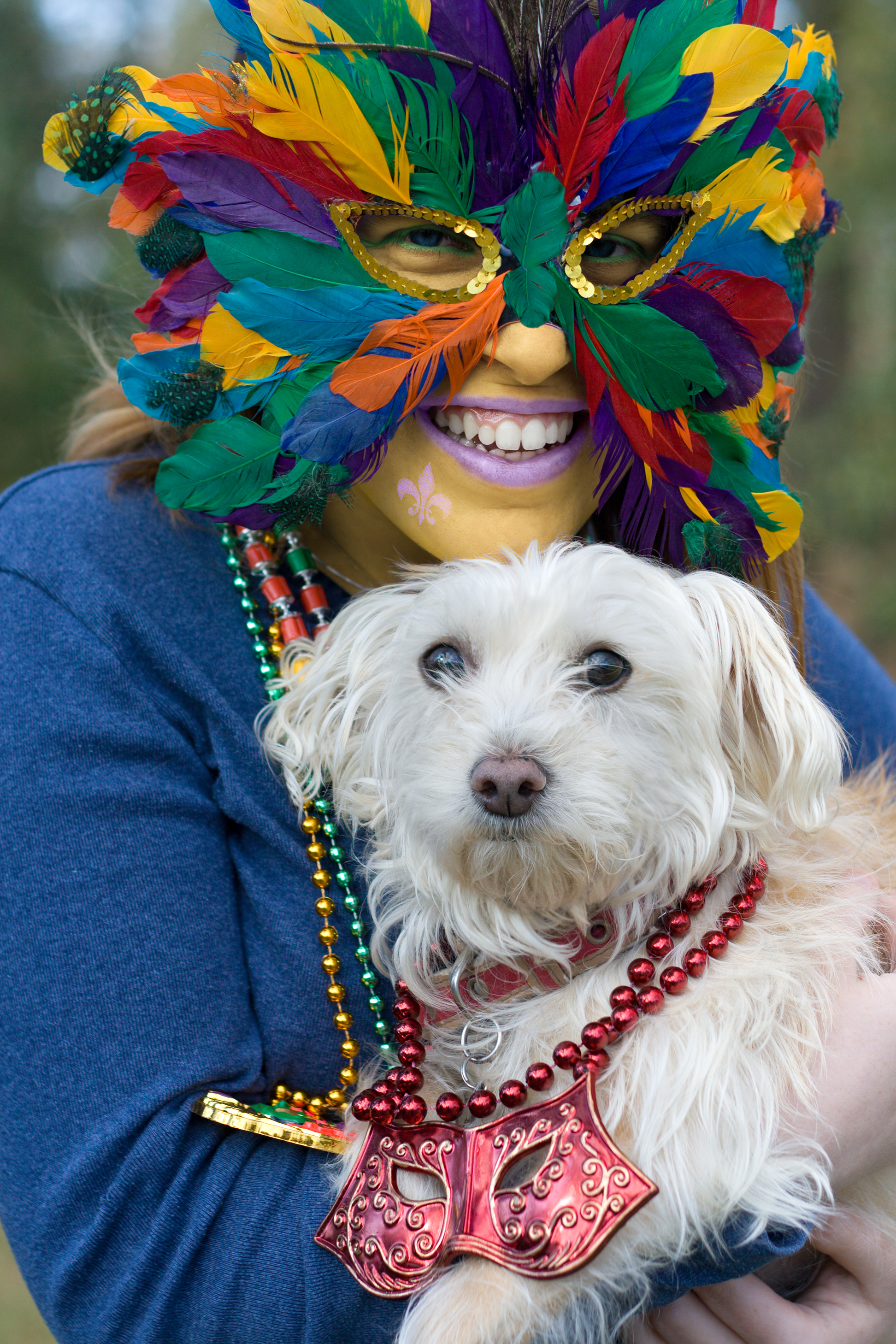 Mardi Gras Dogs!