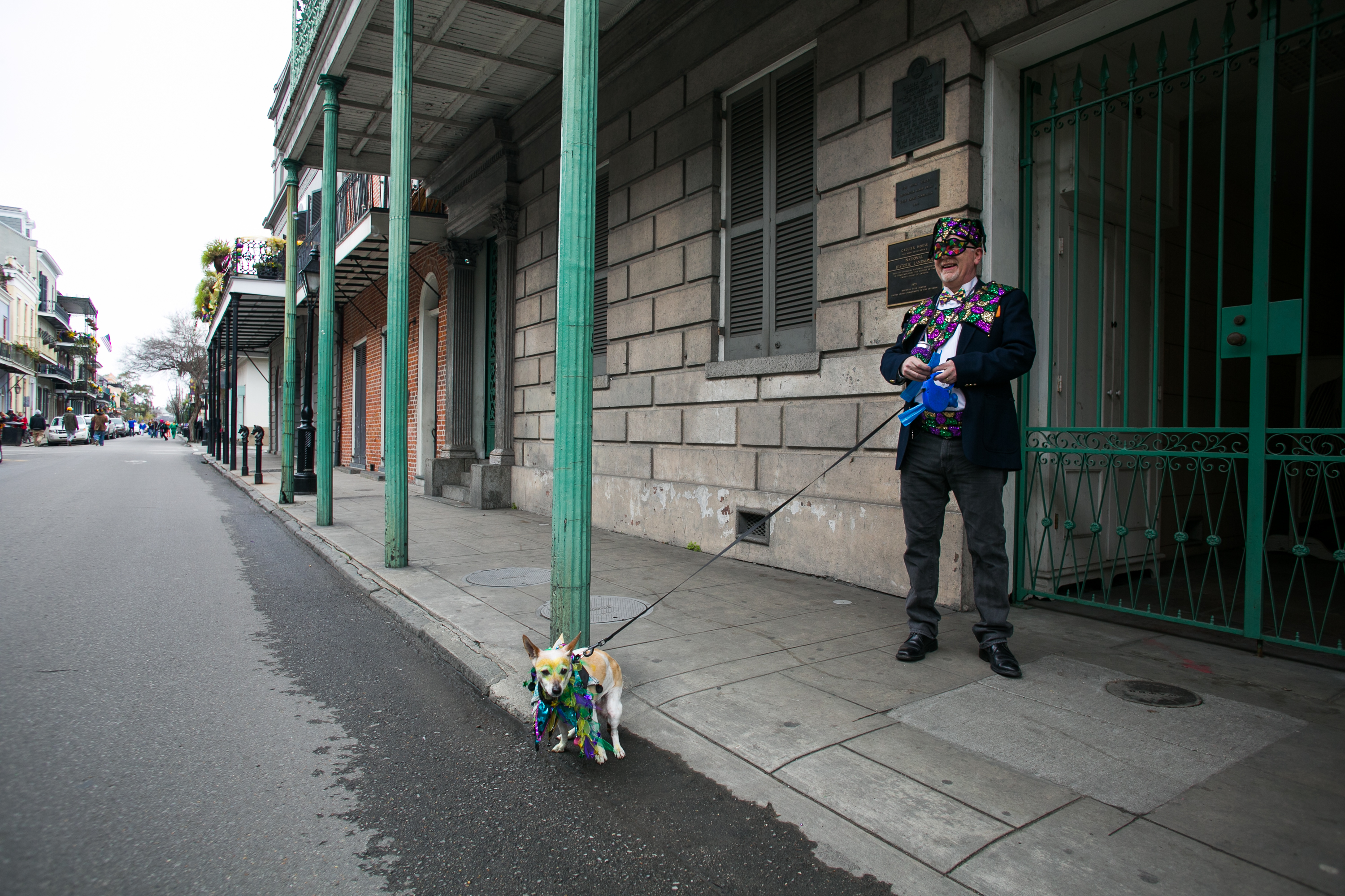 Mardi Gras Dogs!